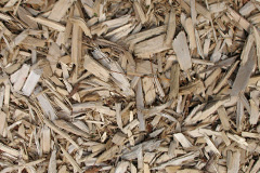 biomass boilers Ogmore